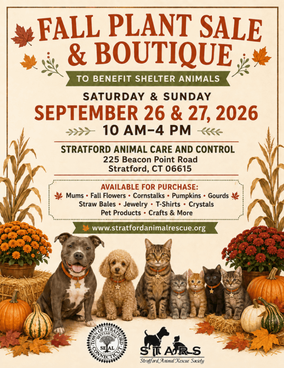 Fall Plant Sale and Boutique flyer for September 26 and 27, 2026